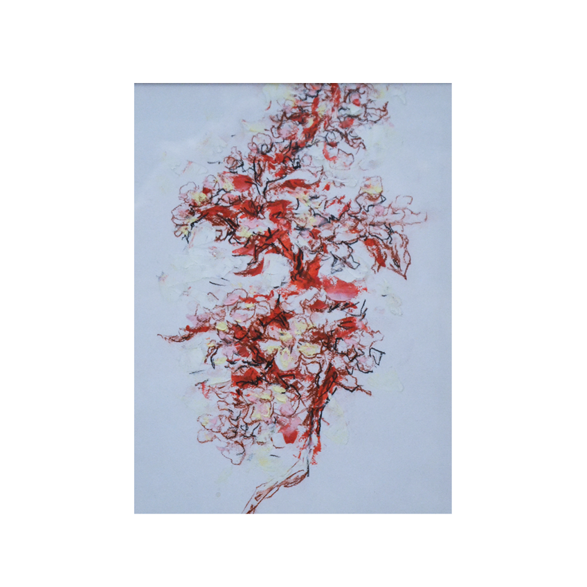 Mihai Sarbulescu, Cires Japonez - TreasureTrove