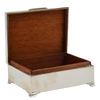 Casetă din argint - TreasureTrove