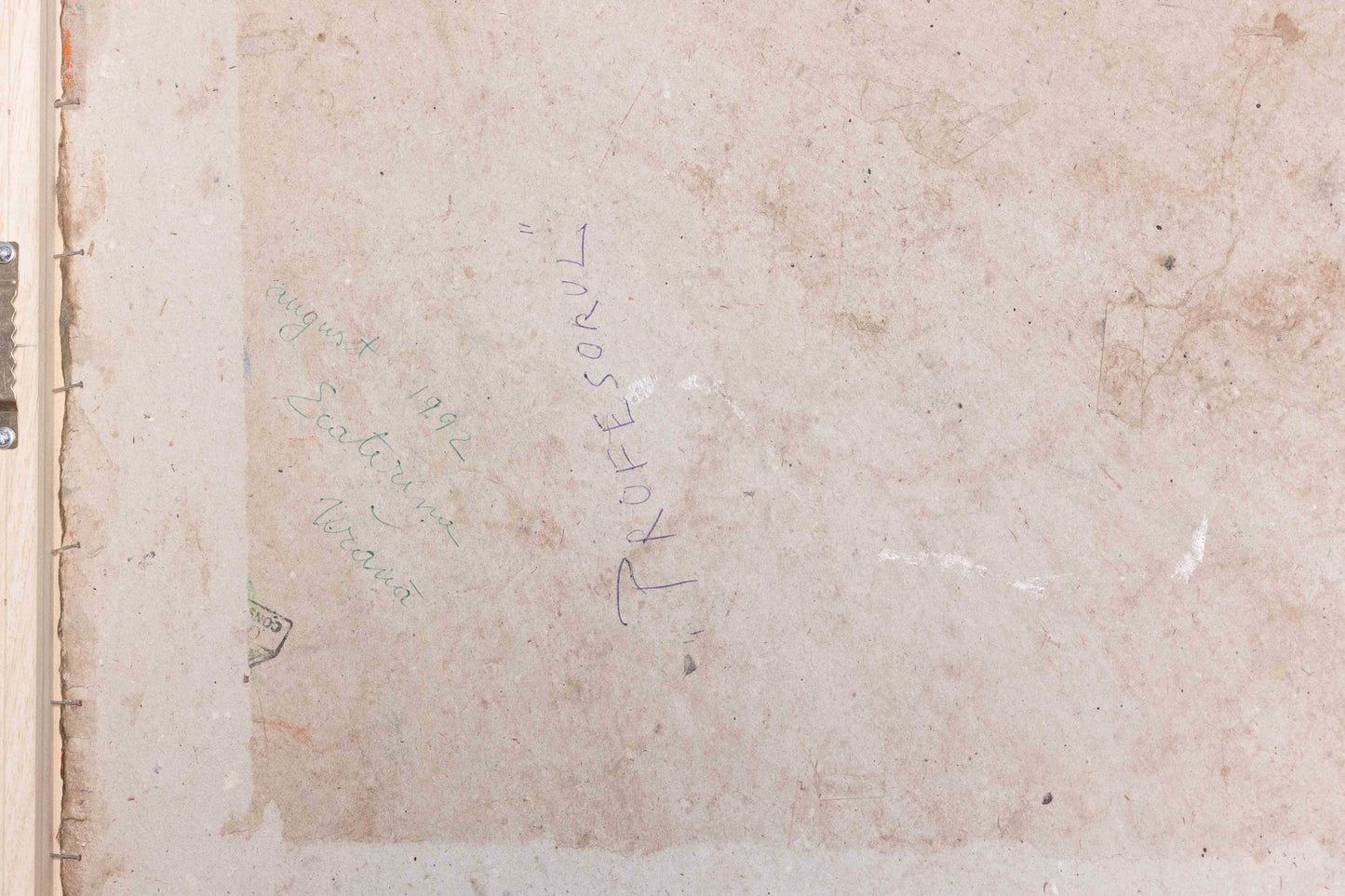 Ecaterina Vrana Profesorul - Pictura