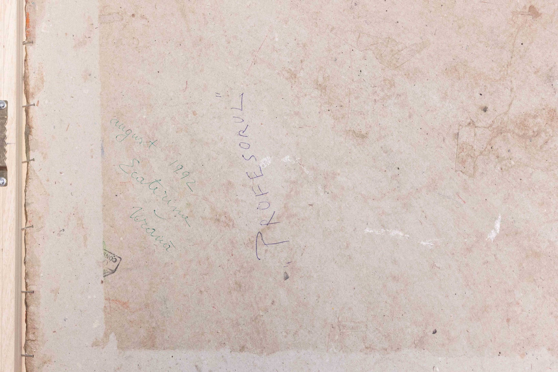 Ecaterina Vrana Profesorul - Pictura