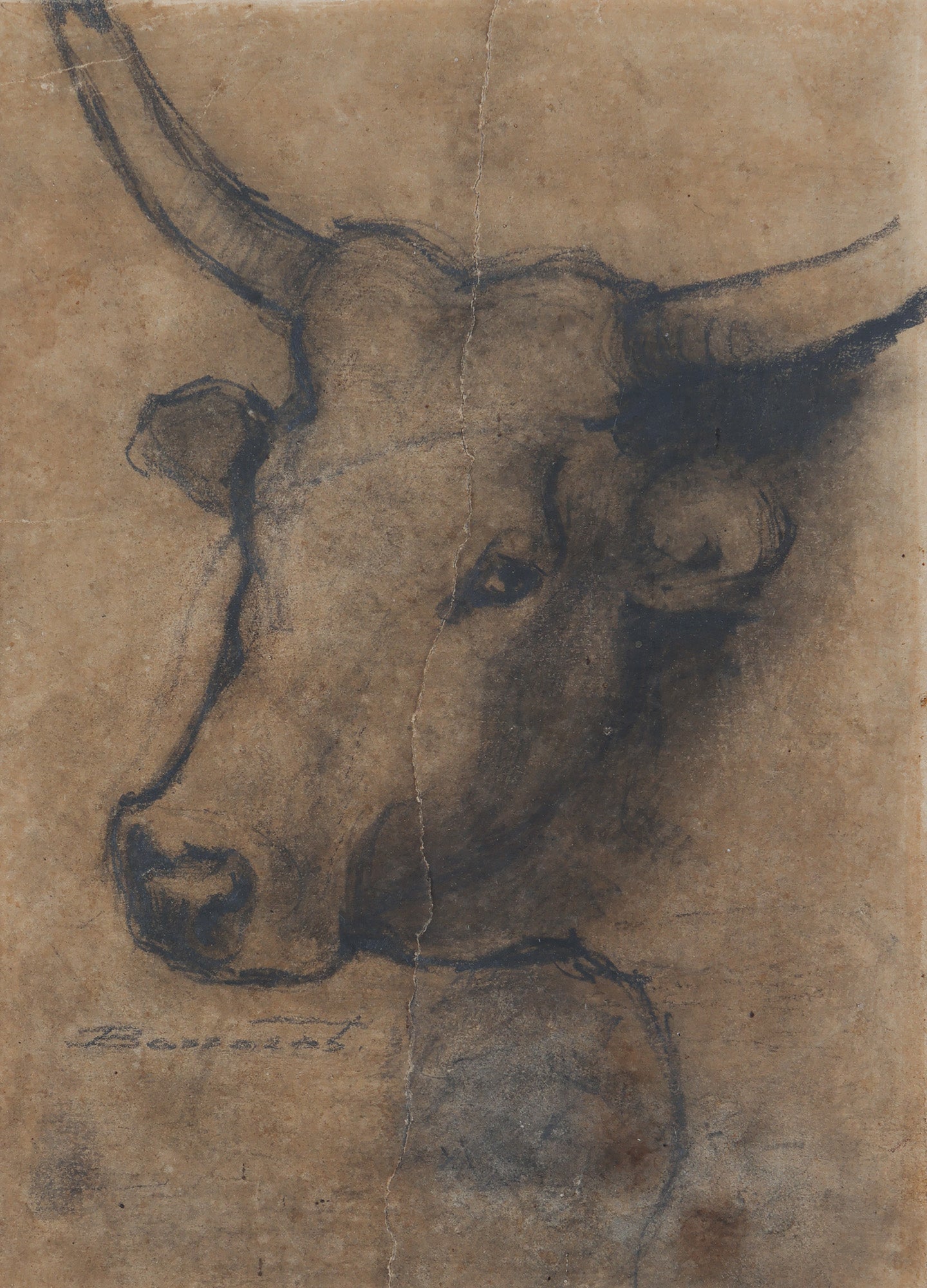 Ludovic Bassarab Bou - Grafica