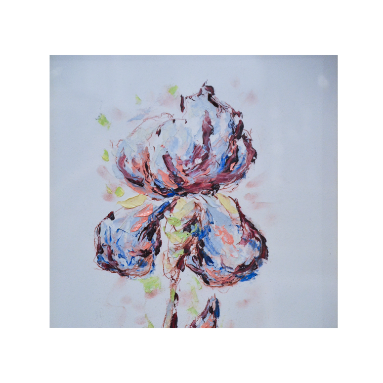 Mihai Sarbulescu, Iris - TreasureTrove
