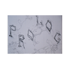 Prolog - TreasureTrove